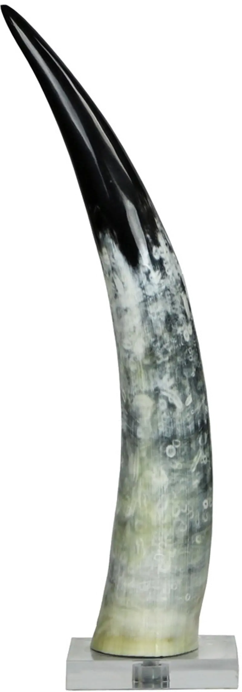 Medium Black and White Cow Horn On a Base