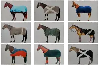 Assorted Horse Racing Canvas Prints
