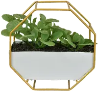 Faux Greenery in White and Gold Planter