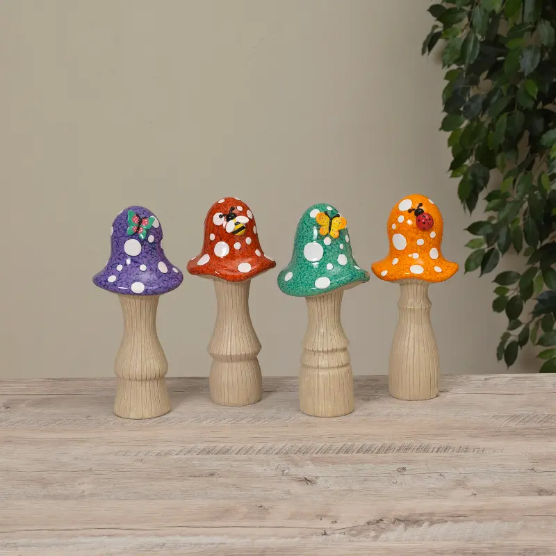 Assorted Mushroom With Garden Friend