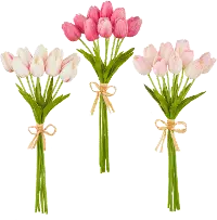 15  Tulip Bundle