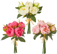 10  Peony Bundle