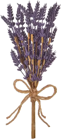 13  Lavender Bundle