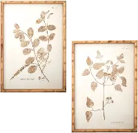 Assorted 24 Inch Botanical Framed Art