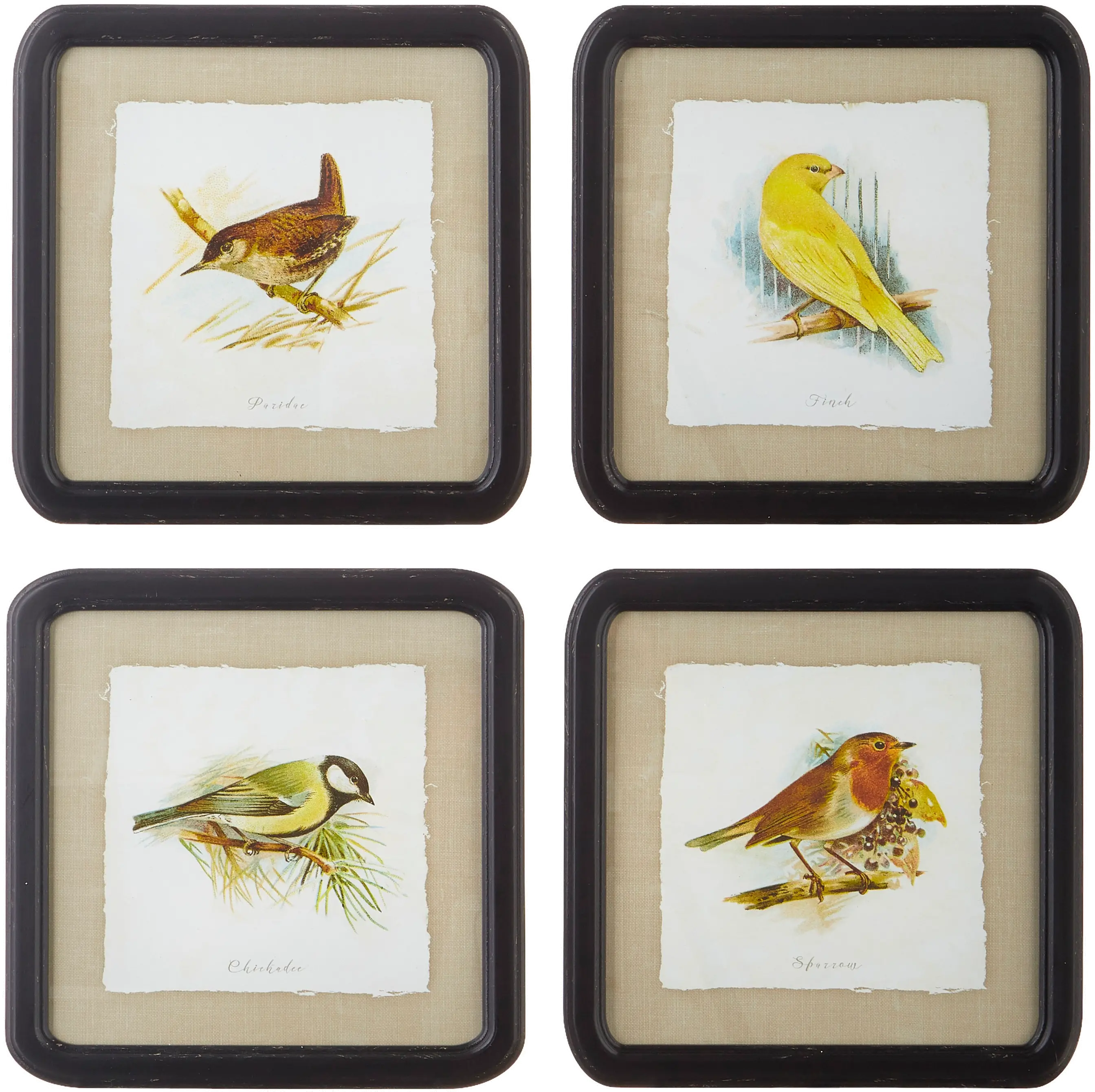 Assorted 14  Bird Framed Prints-1