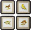 Assorted 14  Bird Framed Prints