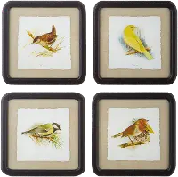 Assorted 14  Bird Framed Prints