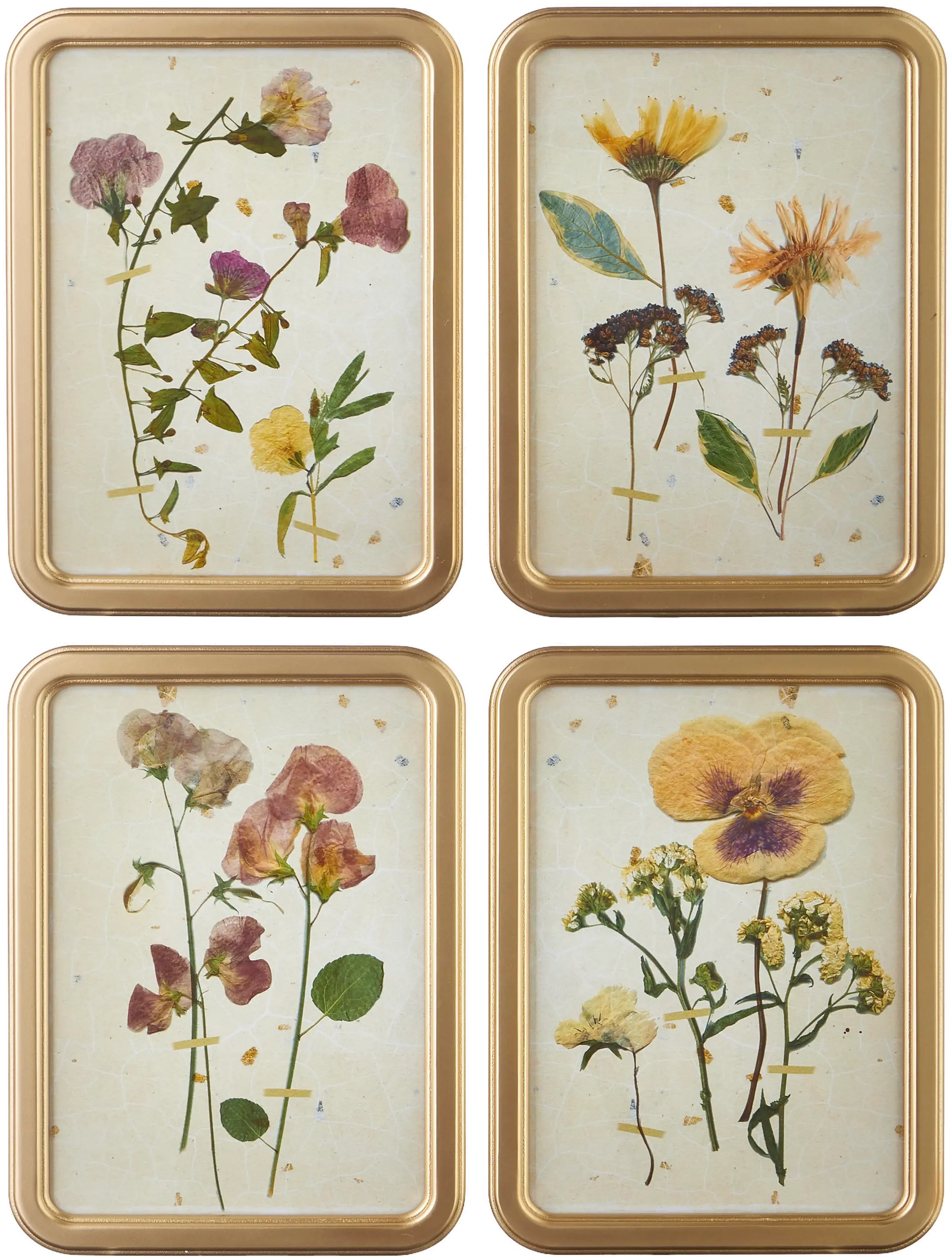 Assorted 18  Botanical Framed Print-1