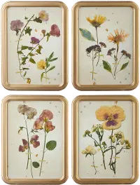 Assorted 18  Botanical Framed Print