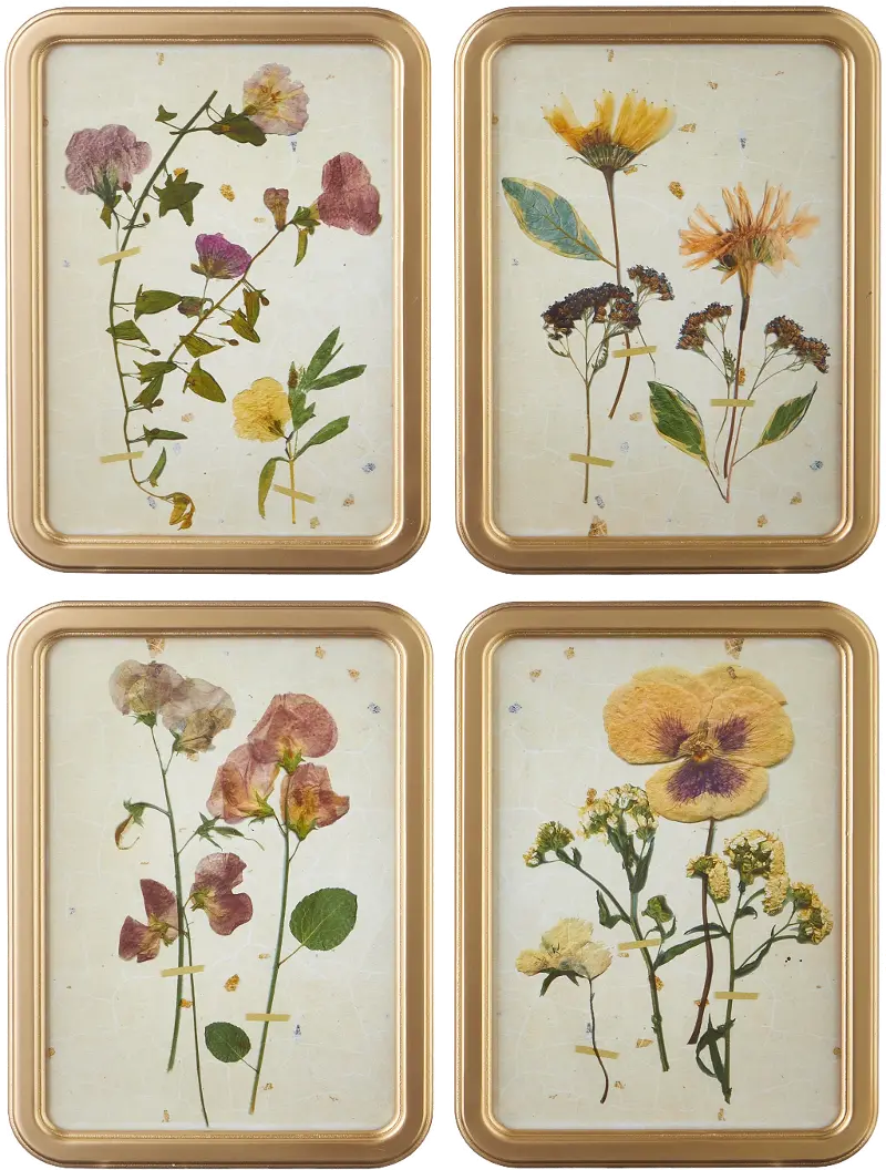 Assorted 18