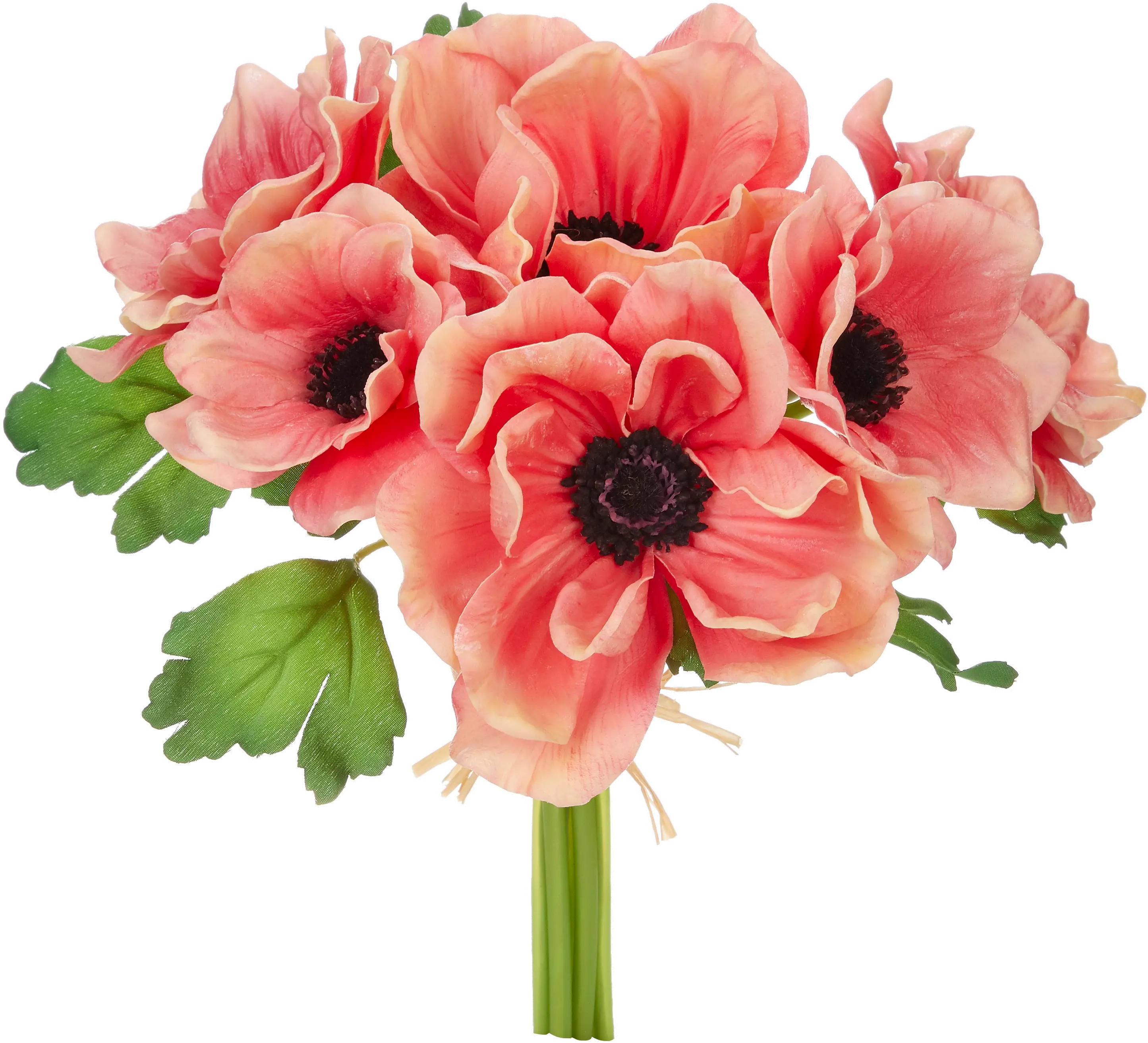 11.5  Coral Anemone Bundle-1