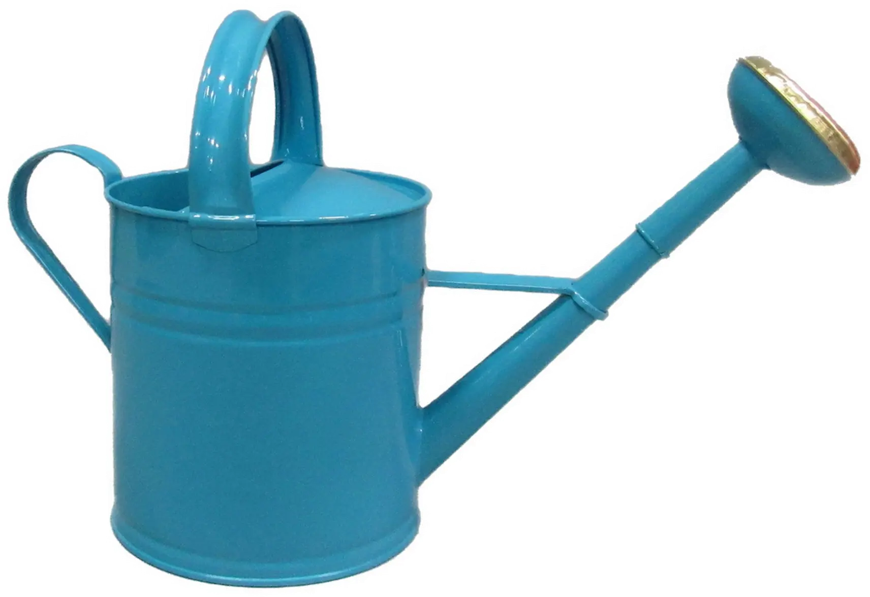 Farmhouse Charm Blue Watering Can-1