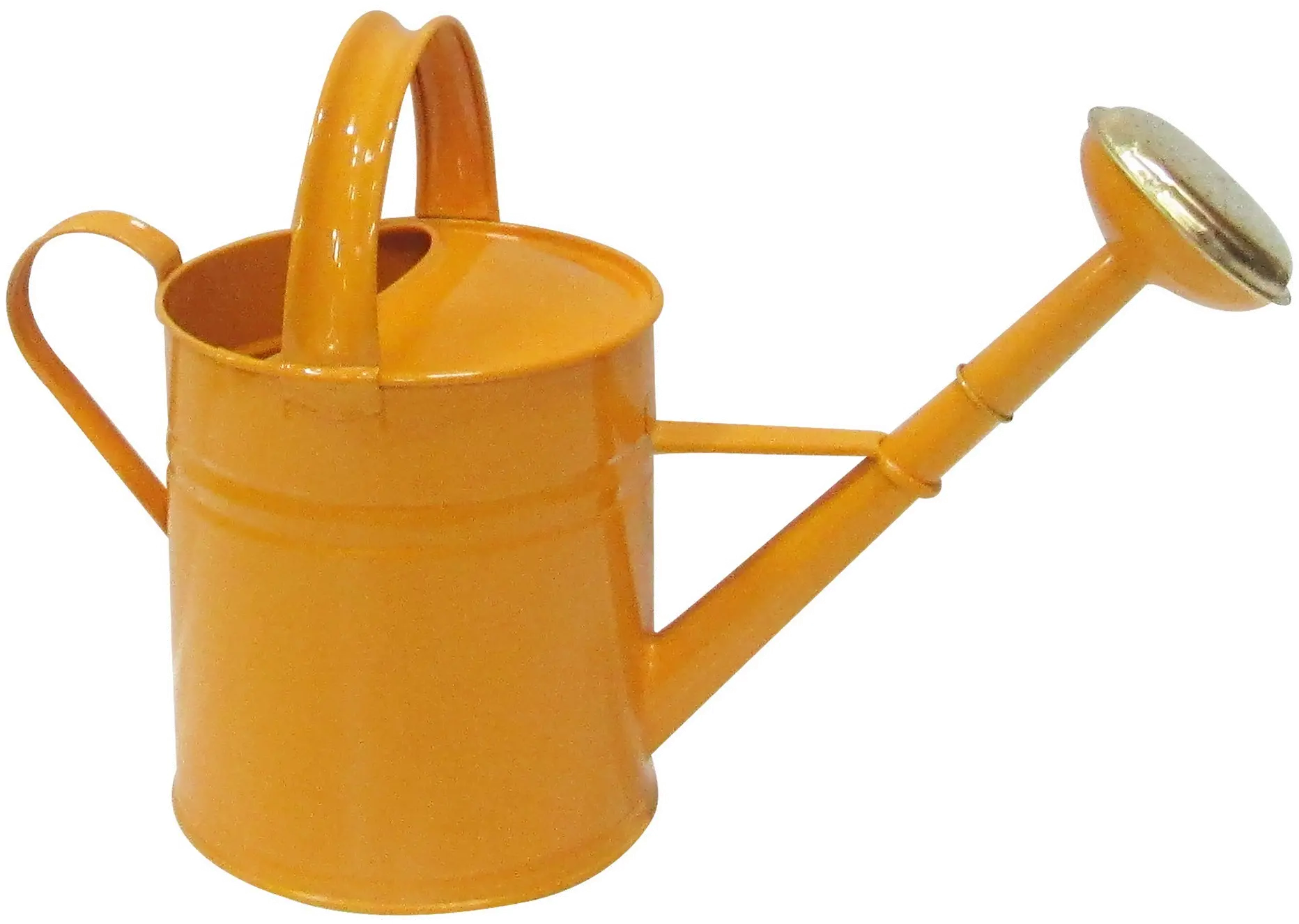 Farmhouse Charm Orange Watering Can-1