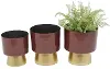 11  Metal Cranberry Planter