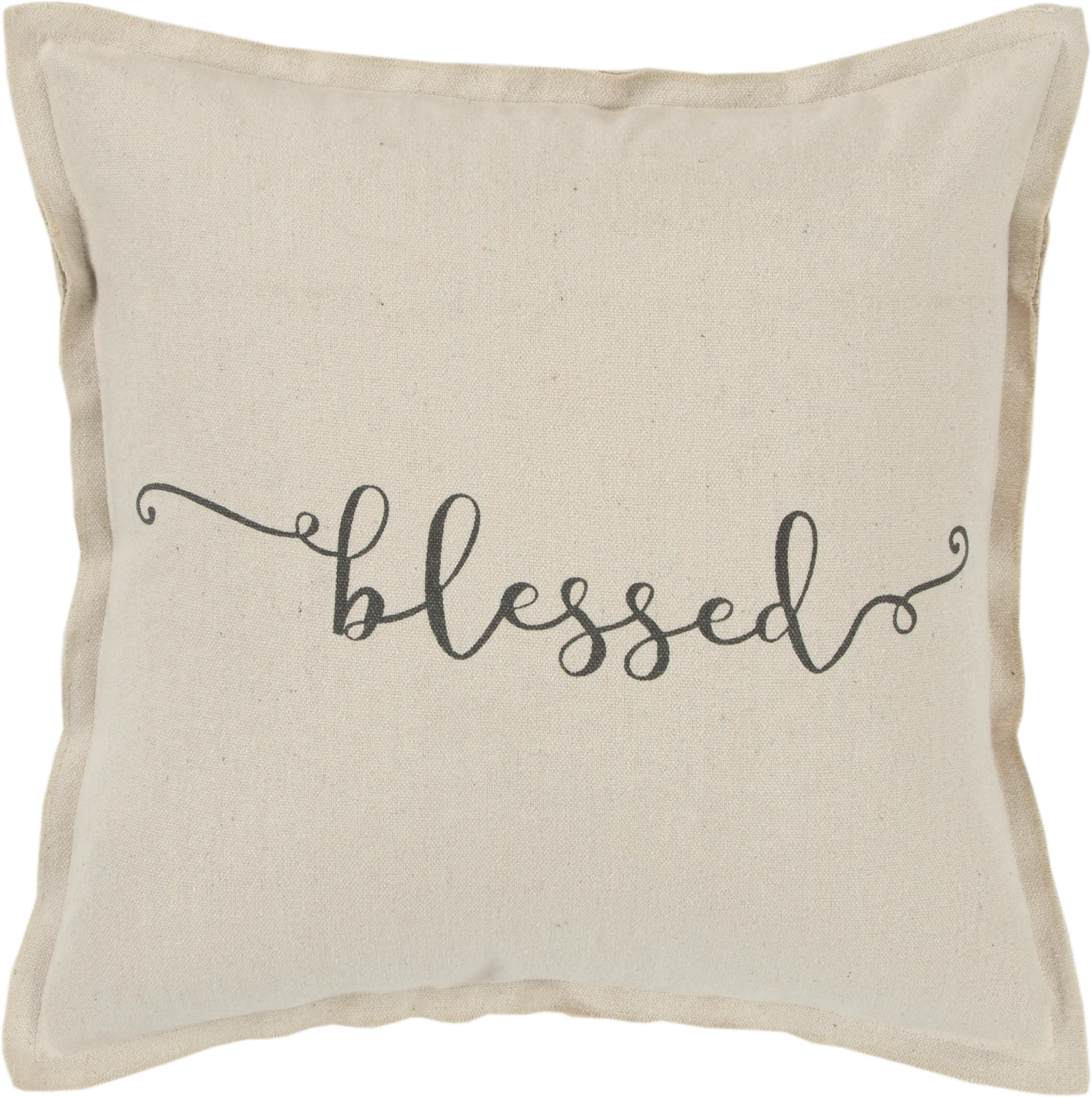 Script Neutral Accent Blessed Pillow-1