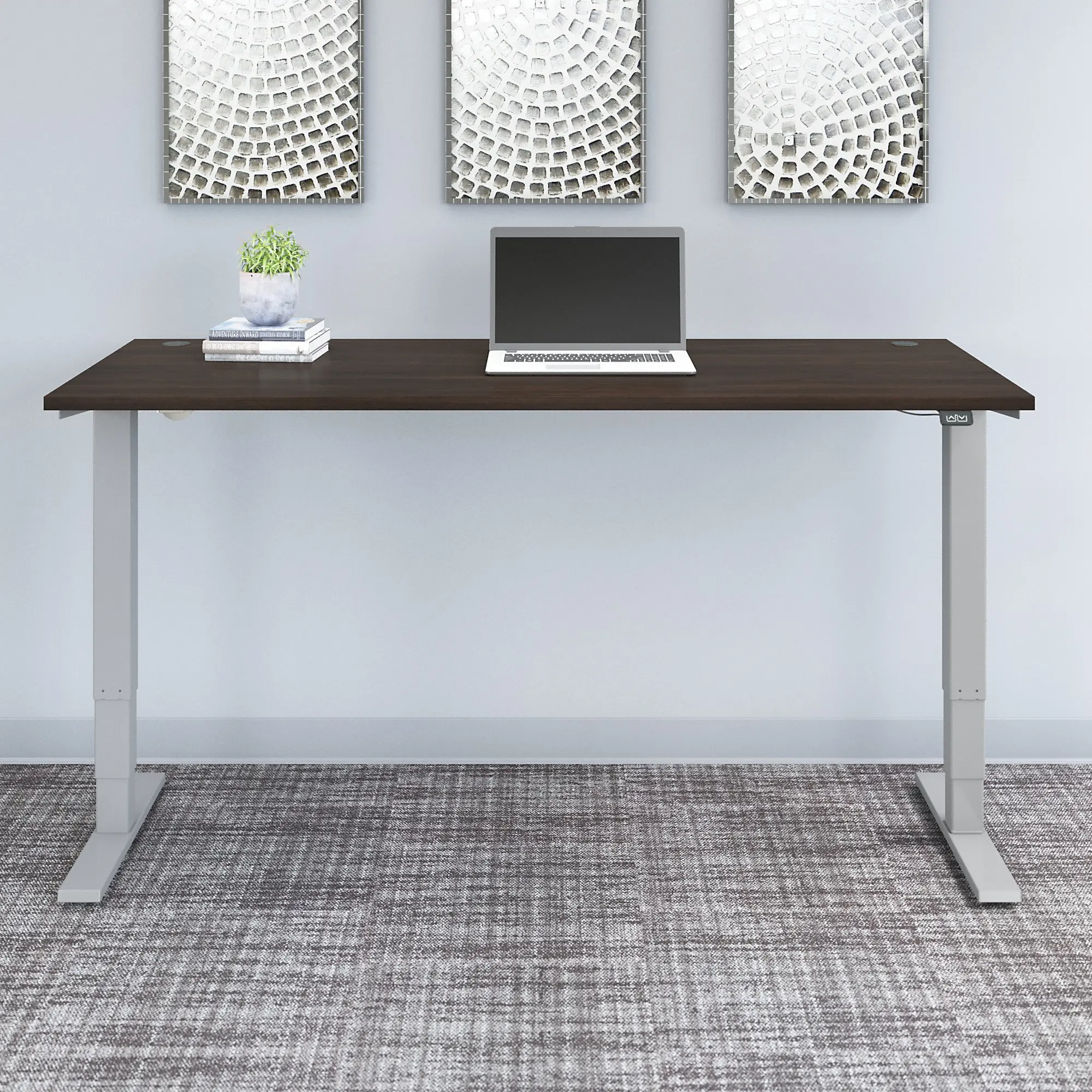 M4S7230BWSK Black Walnut Adjustable Stand Desk-1