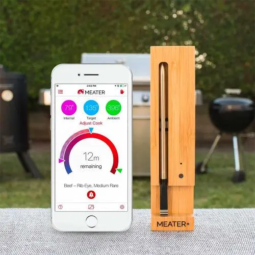RT1-MT-MP01 Traeger Meater Plus Extended Range Bluetooth Meat Thermometer-2