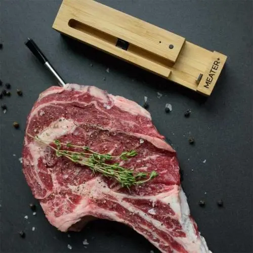 RT1-MT-MP01 Traeger Meater Plus Extended Range Bluetooth Meat Thermometer-3