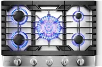 FOTILE  30  Gas 5 Burner Cooktop