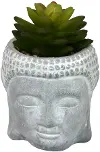 Cement Buddha Head With Plant