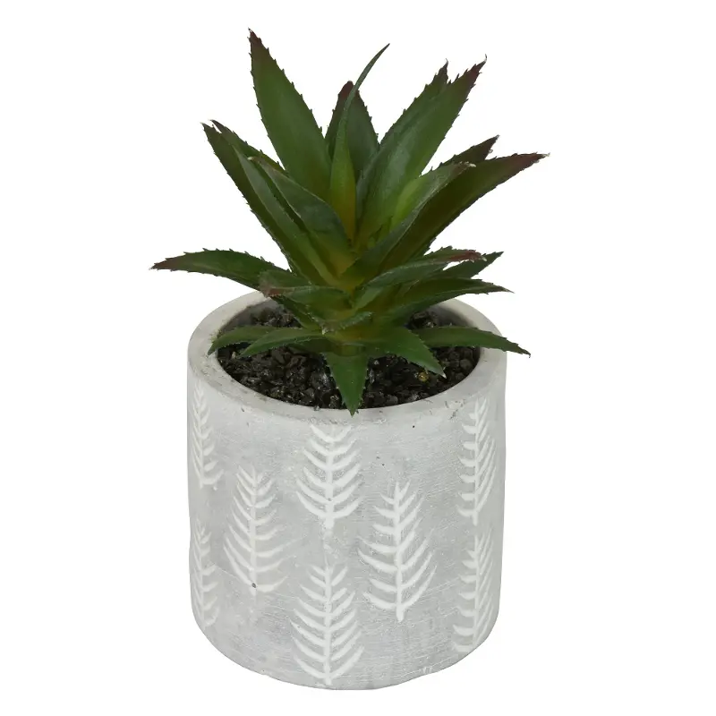 Round Cement Planter with Plant