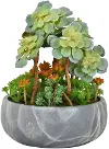 Faux Succulent Plant With Marble Pot