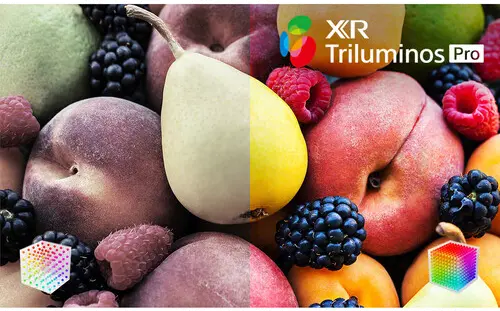 XR85Z9K Sony 85  BRAVIA XR Z9K 8K HDR Mini LED Google TV-17