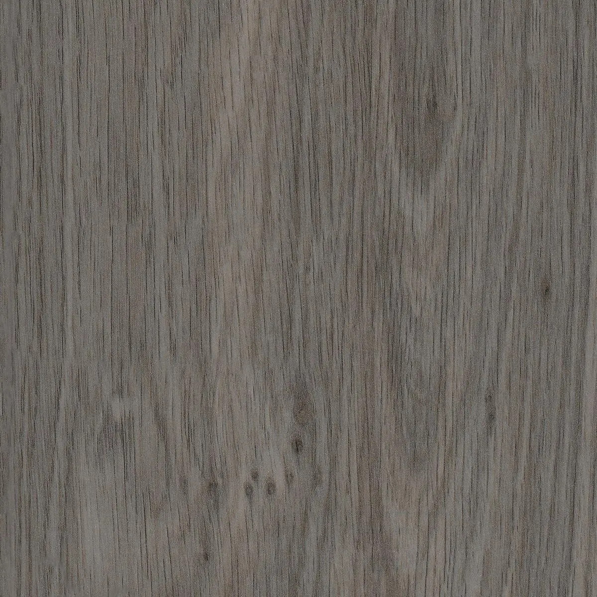 Camley Gray Oak 54  TV Stand-7