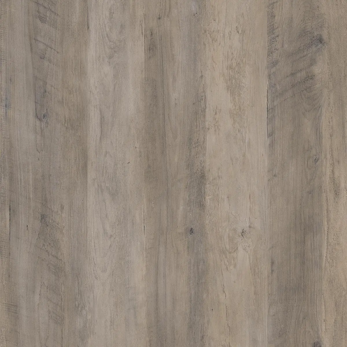 Dwyer Gray Oak 2 Door Kitchen Pantry Cabinet-7