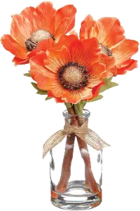 8.5  Orange Anemone In Glass Vase