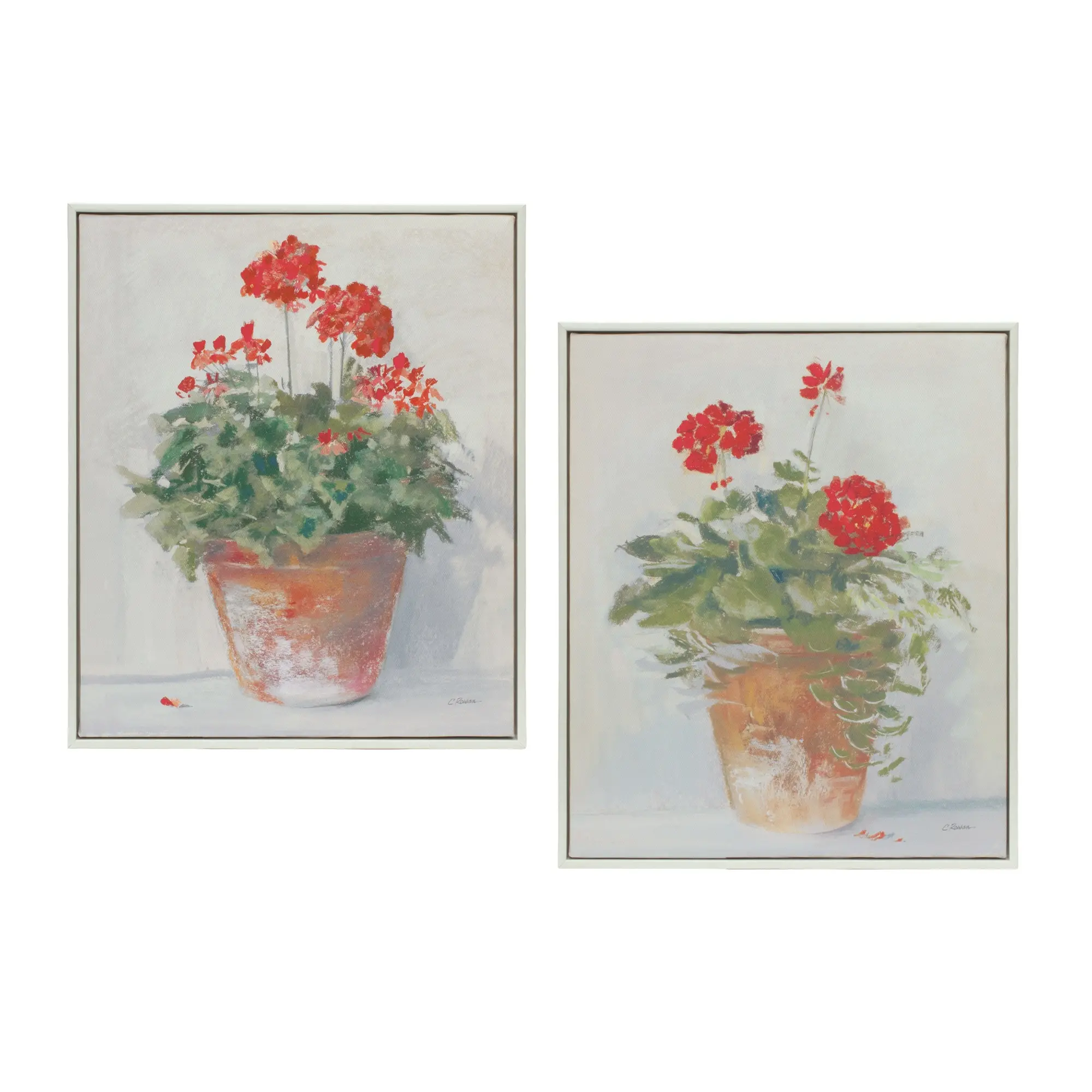 Potted Geranium Framed Print-1