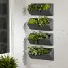 13802 Dalya Dark Gray Wall Planters, Set of 4