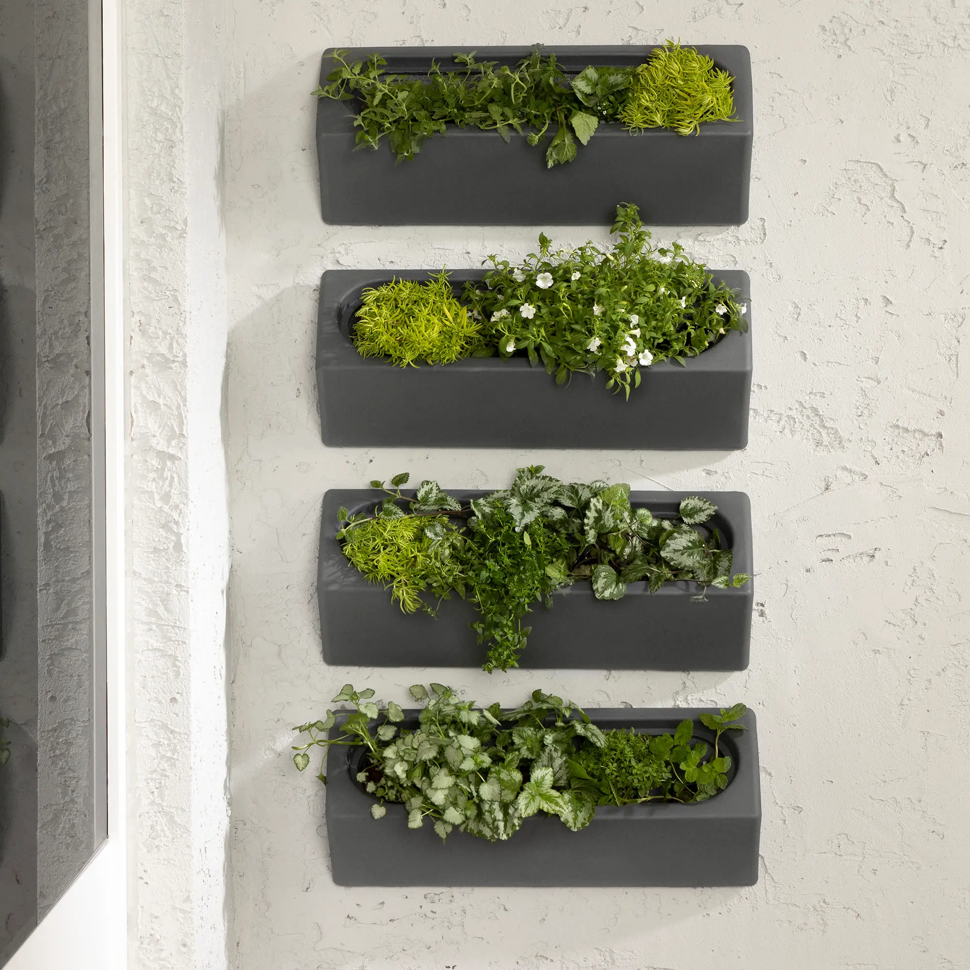 13802 Dalya Dark Gray Wall Planters, Set of 4-3