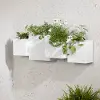 13805 Dalya White Wall Planters, Set of 2 - South Shore