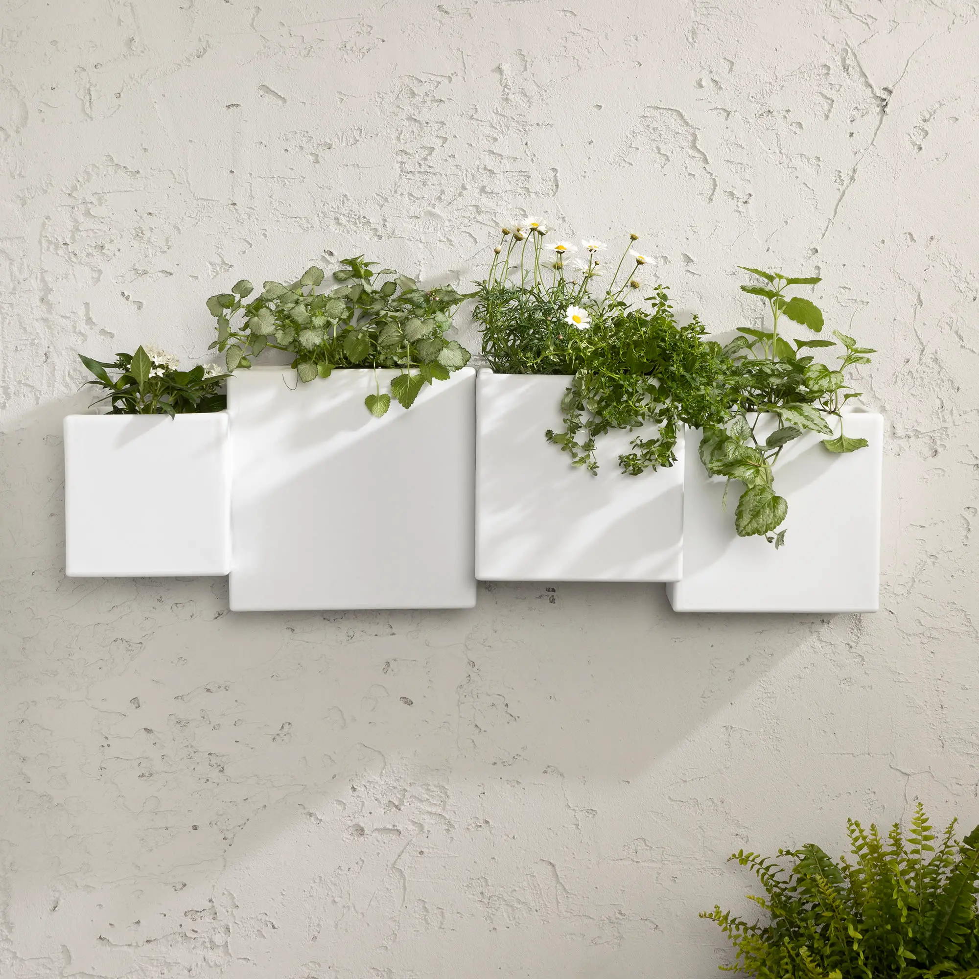 13805 Dalya White Wall Planters, Set of 2 - South Shore-2