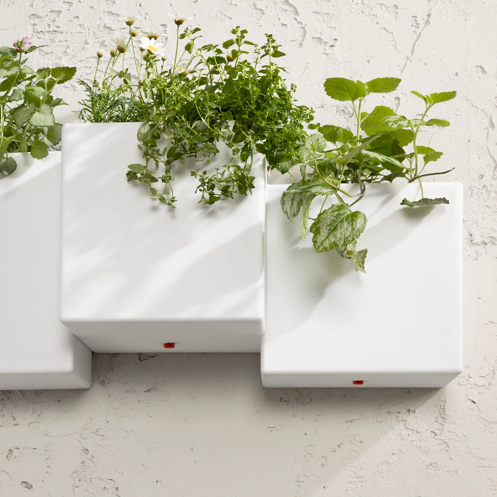 13805 Dalya White Wall Planters, Set of 2 - South Shore-5