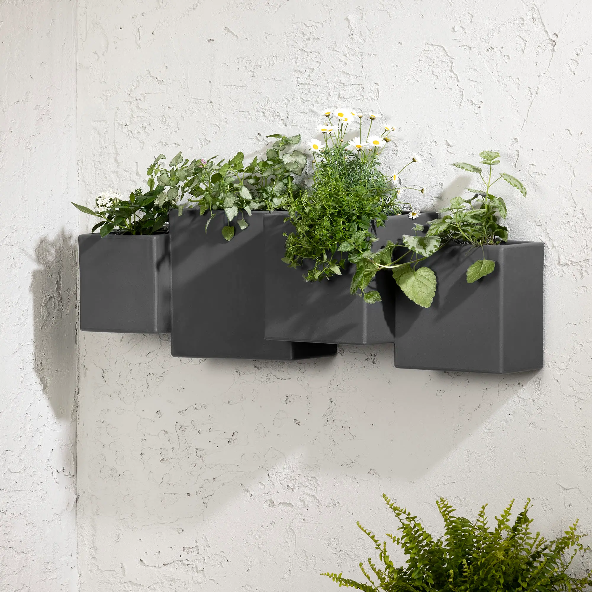 13806 Dalya Dark Gray Wall Planters, Set of 2-1