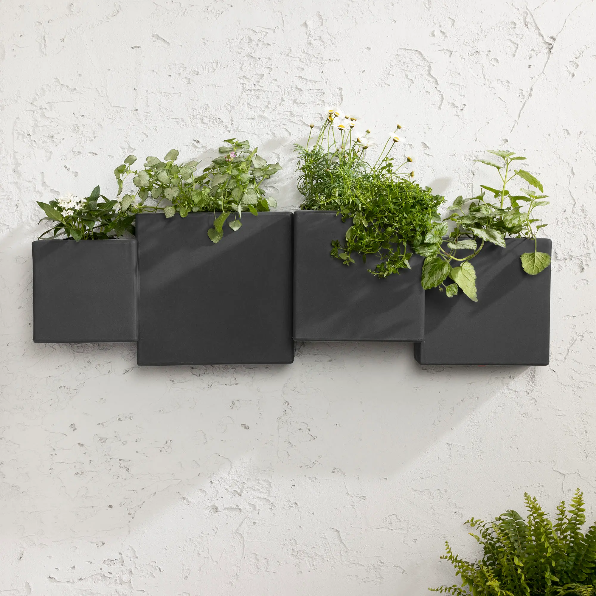 13806 Dalya Dark Gray Wall Planters, Set of 2-3