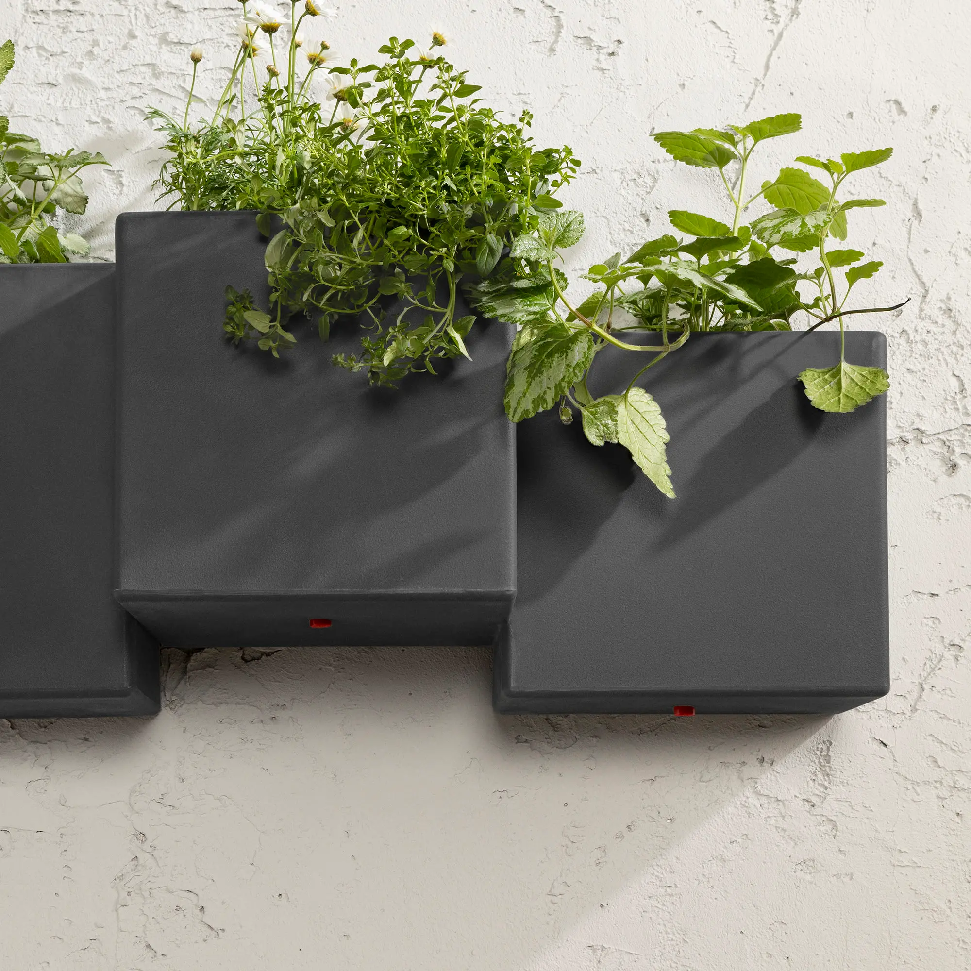 13806 Dalya Dark Gray Wall Planters, Set of 2-6