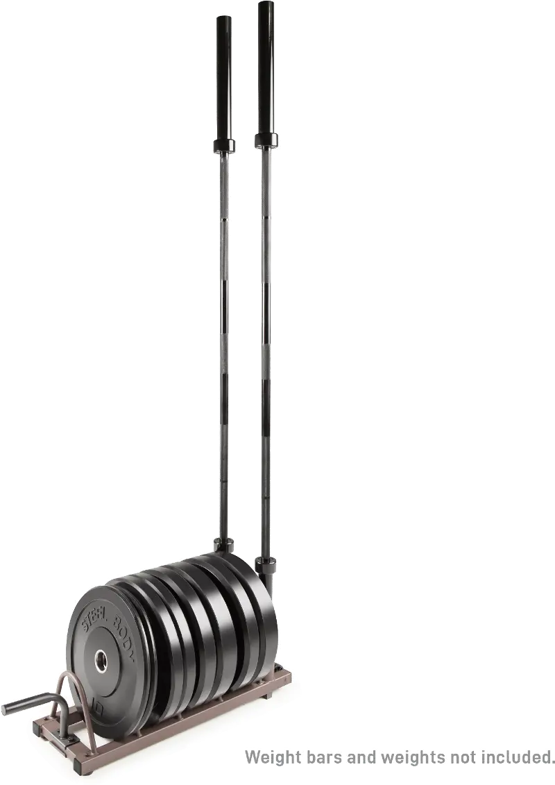 Steelbody Olympic Weight Rack Organizer