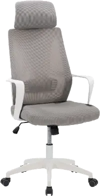 Workspace Gray and White Mesh Office Chair