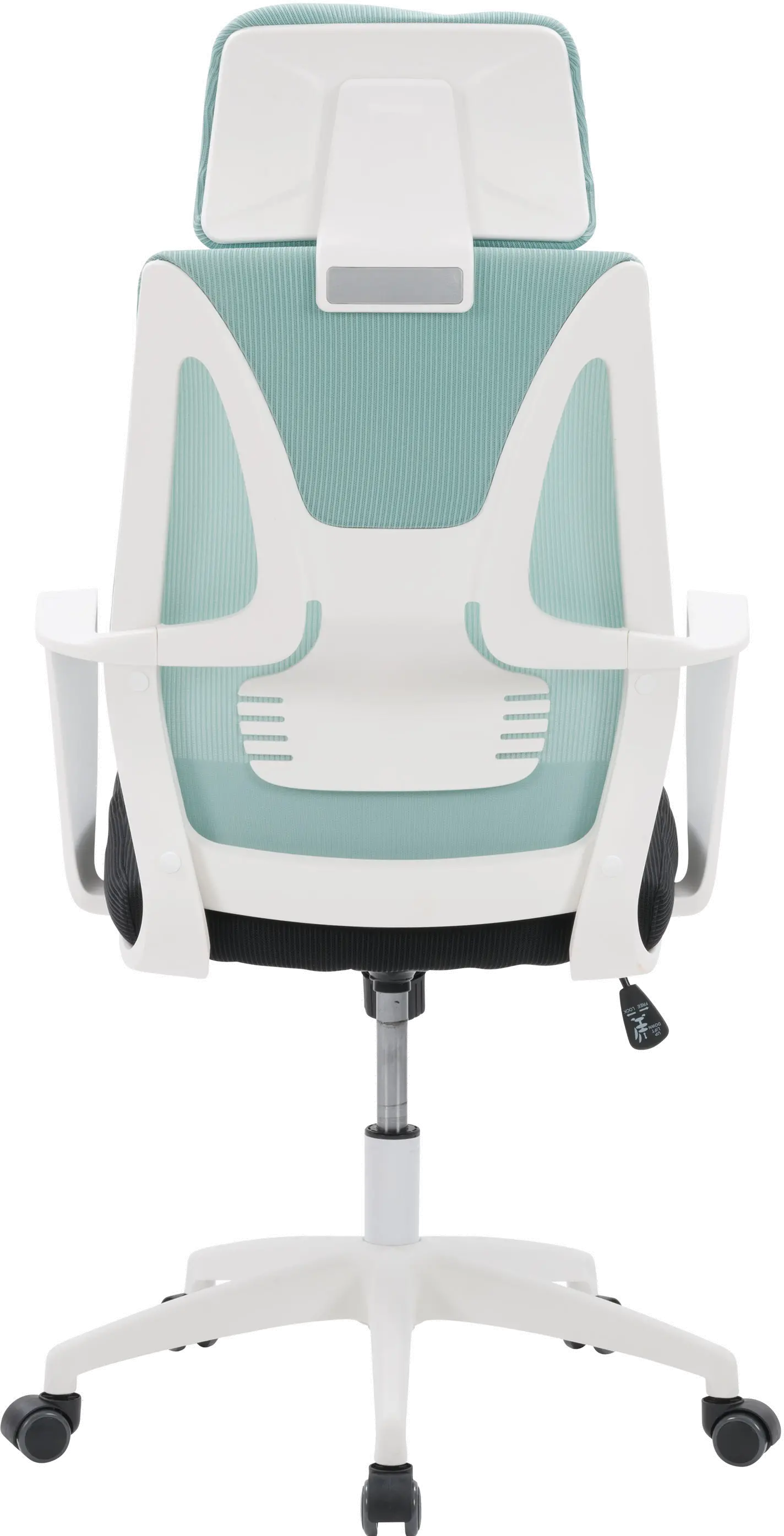 Workspace Teal and Black Mesh Office Chair-5