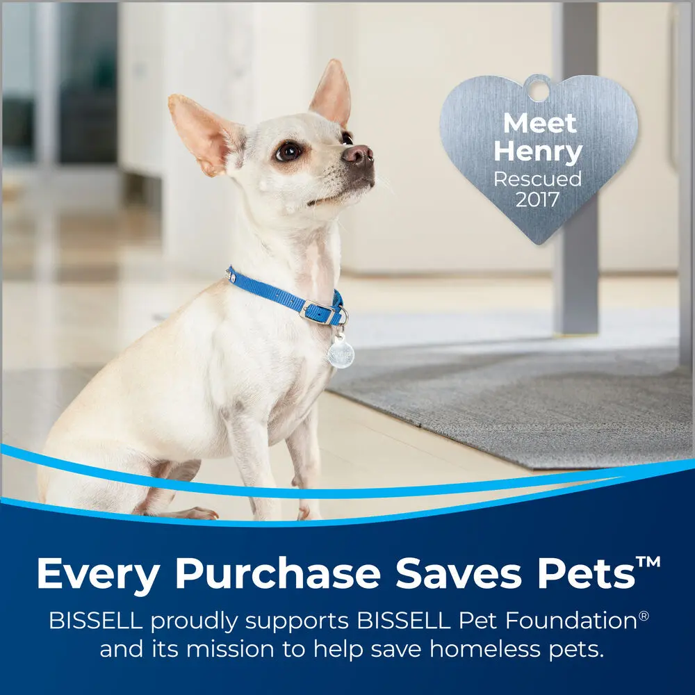 2846/PET_ERASER_CRDL Bissell Pet Stain Eraser Powerbrush Plus Cordless Vacuum-2
