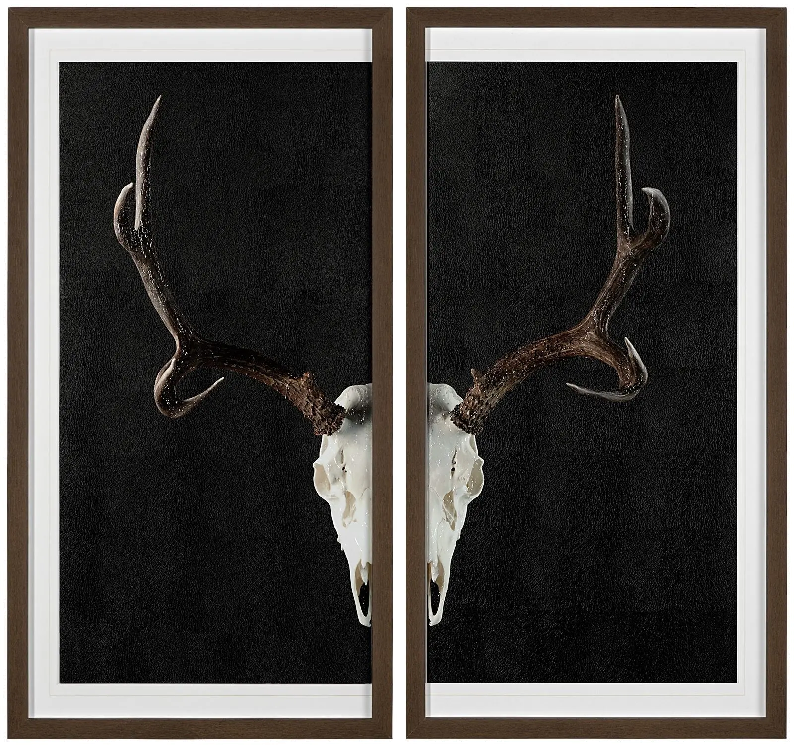 Deer Skull Framed Art-1