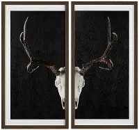Deer Skull Framed Art