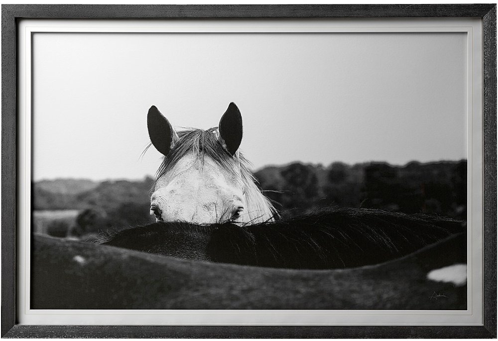 Flirt Framed Wall Art