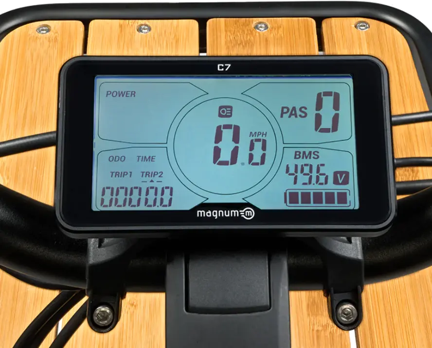 CARGO/PAYLOAD_BLACK Magnum Payload 48V Matte Black Electric Bike-6