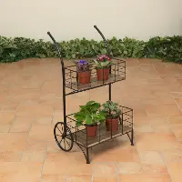 30.5  Metal and Wood Cart