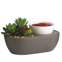 Succulent ArtScents Wax Warmer