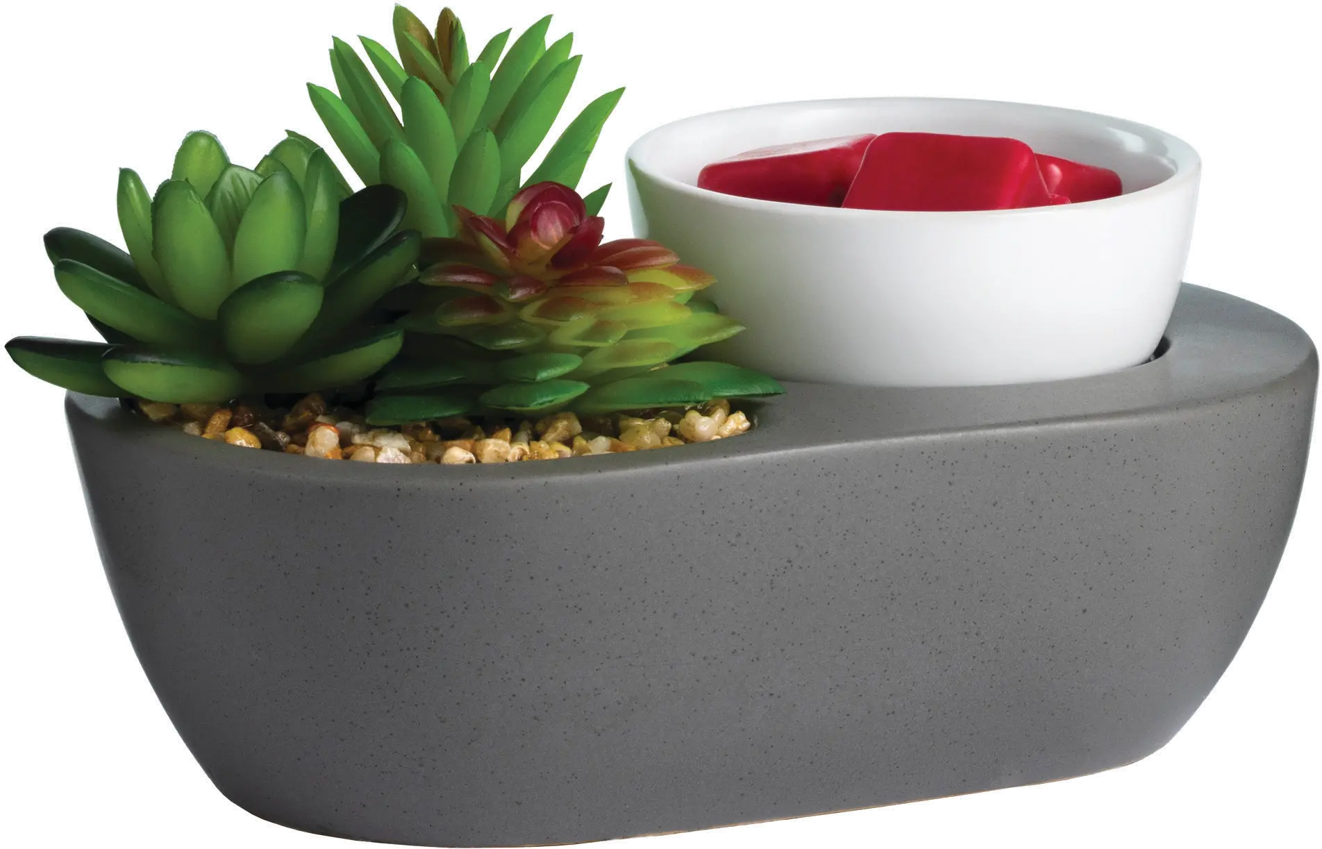 Succulent ArtScents Wax Warmer-2